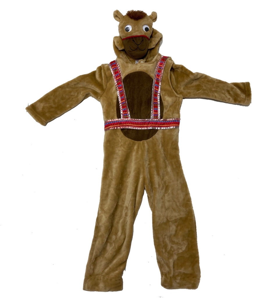 Brown Camel (Age 7-8) Hire