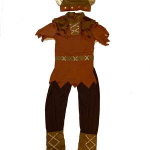 Viking Age 10-11 (Hire)