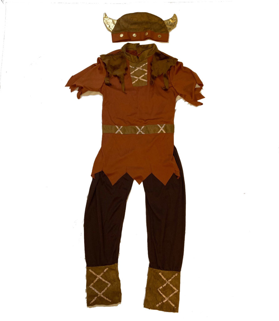 Viking Age 10-11 (Hire)