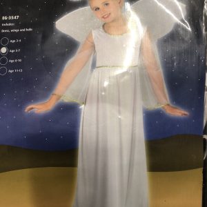 Angel costume 5-7 (Hire)